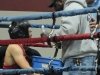 Golden-Gloves-2011-2