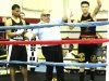 Golden-Gloves-2011-21