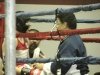 Golden-Gloves-2011-3