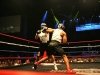 SOCAL-Fight-BOTB-7-70-12-332-500x333